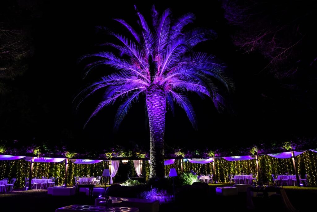 capodanno offerte roma villa grant